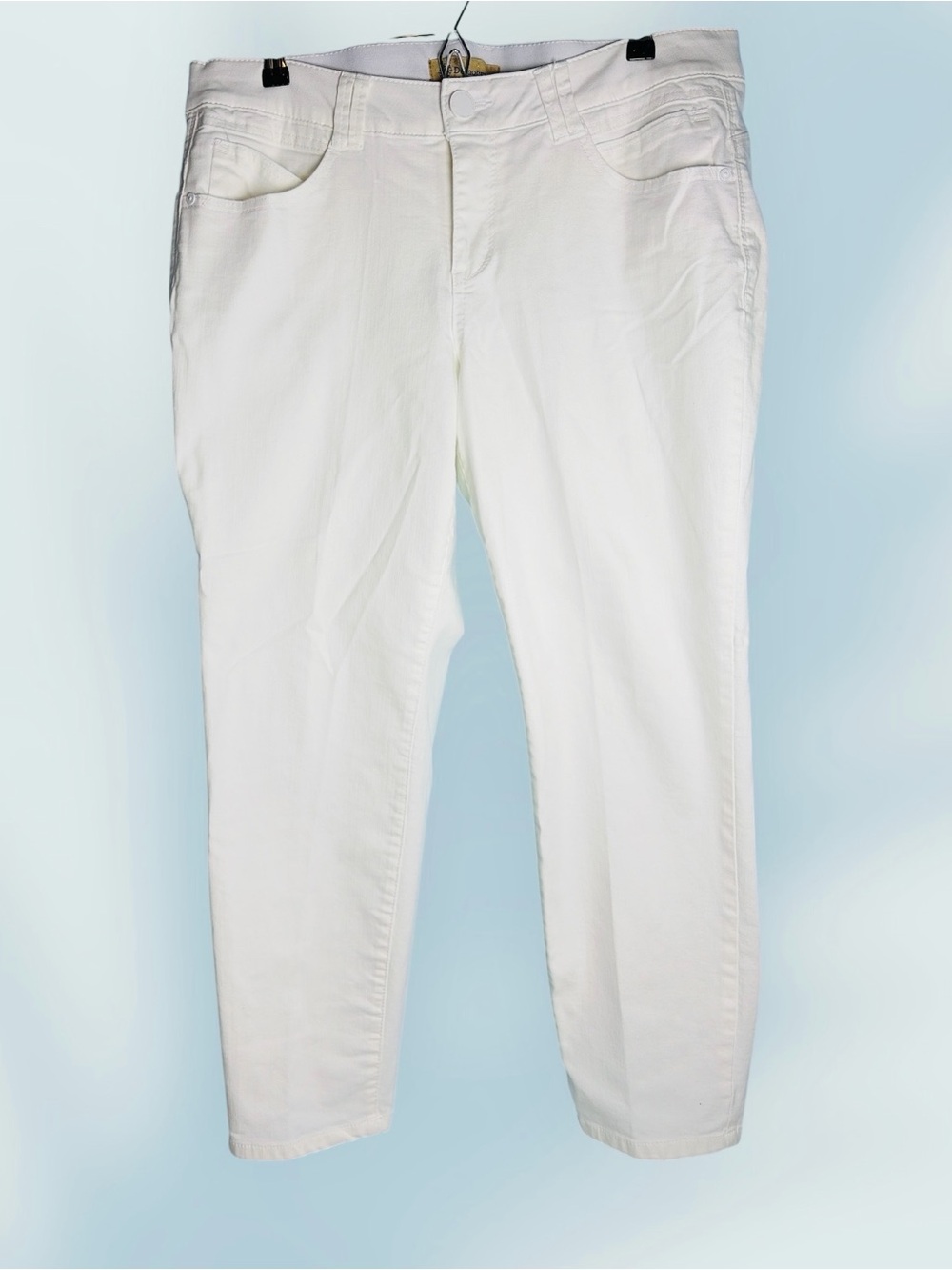 Democracy Women’s White Straight Denim Jeans 5-Pocket Regular Size 16W